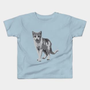 Grey room tiger Kids T-Shirt